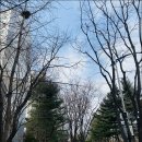 카페오후 이미지