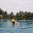 파티오(한식당)-베스트웨스턴 호텔 식당 | 푸꾸옥 여행 6일 - 베스트웨스턴, 소나시 한식당, 발마사지, 쇼핑, 야시장