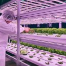 농심농장 이미지