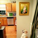 팔이합성 이미지