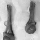 아마존동물병원 이미지