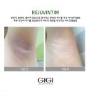 지지바디 이미지