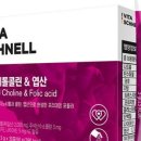 그라운드헤븐
