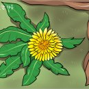 킴 모터스 이미지