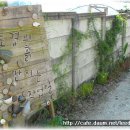 부영아파트.만가대 이미지