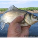 대성낚시터 이미지