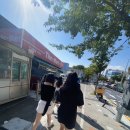 45대 하계MT☀️🏖️💦 이미지