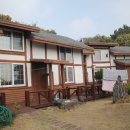 제주 야자원 이미지