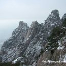 도봉산커피 이미지