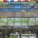 수 애견미용 이미지