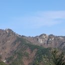 대구 팔공산 가는 길 -단풍나무길 이미지