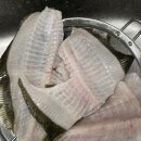 [안양 맛집] 가성비 좋게 회 포장해서 먹고 싶으면, 광어 2마리 15000원 내돈내산 후기
