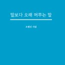 몽트