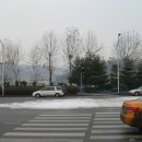 분당수서로 이미지