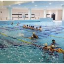 남선공원종합체육관 수영장 이미지
