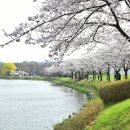 화랑유원지 제2주차장 네이버블로그
