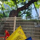 백무 | 원종동점집 백무신당에 다녀온 후기예요