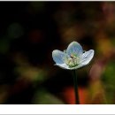 병아리당구장 이미지