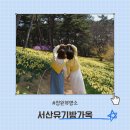 이색선생묘일원 | 충남 서산 유기방가옥 수선화 여행 한옥 정원 뷰 명소 이색 데이트
