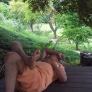정다운농원 이미지