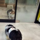 리버티벨 이미지