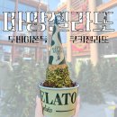 마망 엘리펀트 | 성수 두바이젤라또 맛집 웨이팅 개큰꿀팁 두바이쫀득쿠키 핫플 : 마망젤라또 성수점