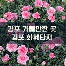 신세대뱅크플라워