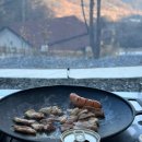 [내돈내산] 🍳 퀸센스 캠핑 그리들팬 36cm인덕션 가능 + 가방 포함 / 내돈내산 2년 사용 후기