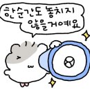 본테이블(BON TABLE) 이미지