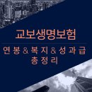 교보생명보험(주) 이미지