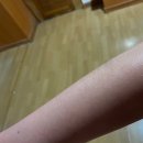 황제피라미드불한증막 이미지
