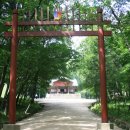 H8345 Daum카페