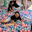 한국체대 위너스 태권도장 이미지