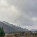 백운면 벚꽃길 이미지