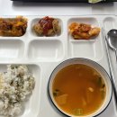 [완벽한 DX 가이드] 머신러닝을 활용한 빅데이터 분석 | [KT 에이블 스쿨 7기] DX트랙_1,2차 미니 프로젝트 후기