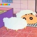 예림양꼬치 이미지