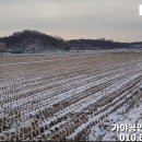 향남역공인중개사사무소 이미지