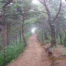 산속에아침 이미지