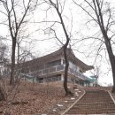 까망콩두부 이미지