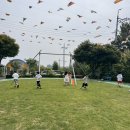 [푸른하늘반] 자연과 함께 배우는 아이들2 이미지