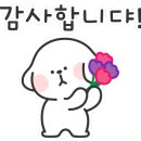 젤라또공대 이미지
