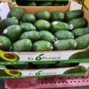 호남청과 이미지