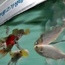 형연농장 이미지