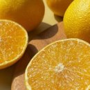 유라농장 이미지