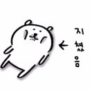 선가네