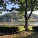 인삼골오토캠핑장 이미지