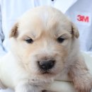 회수동-2 이미지