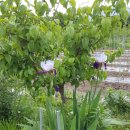 갯벌농장 이미지