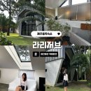 라리저브 | 제주 동쪽 숙소 라리저브 자쿠지가 있는 애견동반 독채펜션 + 꼬스뗀뇨 카페
