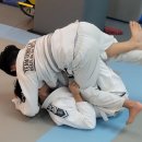 용인대석사특전합기도 이미지